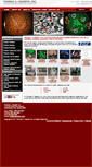 Mobile Screenshot of casertainc.com