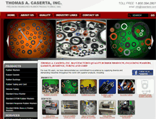 Tablet Screenshot of casertainc.com